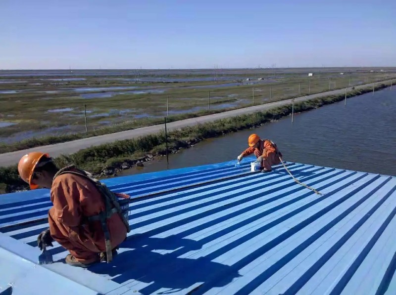 驿城彩钢瓦屋面防腐翻新